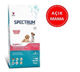 Spectrum Puppy 32 Yavru Köpek Maması 1 Kg AÇIK