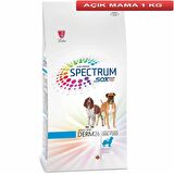 Spectrum Dermo 26 Hassas Derili Balıklı Köpek Maması 1 Kg AÇIK