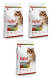 Multicolor Renkli Tavuklu Yetişkin Kedi Maması 2 Kg X 3 Paket