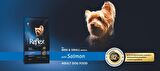 Reflex Somonlu Mini Irk Yetişkin Kuru Köpek Maması 8 kg