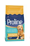 Tavuklu Yetişkin Köpek Maması 2,2 Kg
