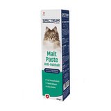 Anti Hairball Tüy Yumağı Önlemeyi Destekleyen Malt Paste Kedi Macunu 30 Gr