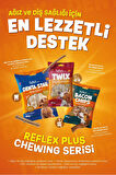 Reflex Plus Bacon Chips / Çiğnemelik Jambon Dilimleri Yetişkin Köpek Ödül Maması 85gr