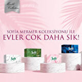 Sofia Kutu Mendil 100 Yaprak 4 Paket