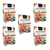 Nature Plan Sandmix Grit Natural Kuş Kumu 250 Gr - 5 Adet