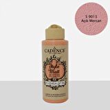 S9013 Açık Mercan Mat Akrilik Boya