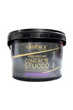 Concrete Stucco Beton Görünümlü Son Kat Kaplama 3 Kg Gri / Kalın