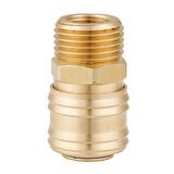 Red Hit 1/2 Erkek, 1/4 Dişi Kaplin Gövde