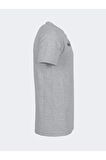 Fenerbahçe Orijinal Puma Gri Polo Yaka Hoca T-Shirt Ahşap Kutulu