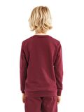 Galatasaray Orijinal Gs Logo Baskılı Bordo Çocuk Sweat