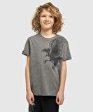 Beşiktaş Orijinal Kartal Baskılı Gri Çocuk T-shirt Hediyelik Ahşap Kutulu