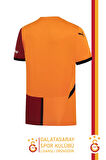 Galatasaray Puma Orijinal Lisanslı 24/25 Parçalı Forma