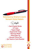 Galatasaray Orijinal Lisanslı Versatil Uçlu Kalem 0.7 Hediyelik Ahşap Kutulu