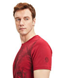 Galatasaray Orijinal Lisanslı Aslan Baskılı T-Shirt