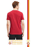 Galatasaray Orijinal Lisanslı Aslan Baskılı T-Shirt Gs Aslan Baskılı Hediyelik Ahşap Kutulu