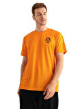 Galatasaray Orijinal Lisanslı Match Day T-Shirt Gs Aslan Baskılı Hediyelik Ahşap Kutulu