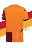 Galatasaray Orijinal Lisanslı 5 Yıldızlı 24/25 Parçalı Forma Aslan Baskılı Hediyelik Ahşa