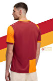 Galatasaray Orijinal 2025/26 Parçalı Yeni Sezon Forma Aslan Baskılı Hediyelik Ahşap Kutul