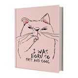 Deffter Free and Cool