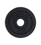 Delta 1 Kg Döküm Ağırlık DPS 11