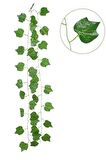 Yapay Sarmaşık Üzüm Yapraklı Yapay Çiçek Dekoru 230cm X 3 ADET