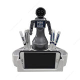 MİNİ ADA KALEMLİK