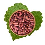 Antep Fıstık İçi Kavrulmuş ( 500 gr )