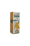 Propolis Sprey 30 Ml