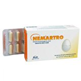 Nemartro 30 Kapsül