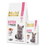 Nutri Feline 10Kg Yavru Somon Etli Kitten Kedi Maması
