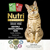 Nutri Feline 10Kg Yavru Somon Etli Kitten Kedi Maması