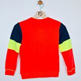 Erkek Çocuk Sweat Shirt Baskılı Nar Çiçeği  