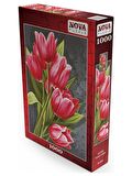 Nova Puzzle Kırmızı Laleler 12+ Yaş Küçük Boy Puzzle 1000 Parça
