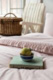 Daisy Pink Yıkanmış %100 Pamuk Poplin  Çift Kişilik Nevresim Takımı