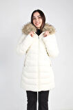 YM-241021 Mont