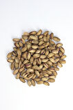 Antep Fıstığı Kavrulmus Kabuklu Ana Çıtlak 800 Gram
