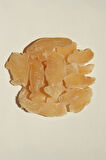 Zencefil Meyve Kurusu 500 Gram