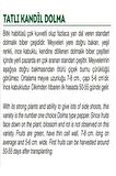 Ata Tohumu Tatlı Kandil Dolma Biberi Tohum 1000 Adet