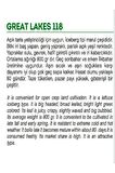 Doğal Göbek Marul Tohum 1000 Adet