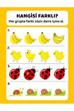 Okul Öncesi Farklı Olanı Bul YAZ-SİL Kitabı