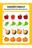 Okul Öncesi Farklı Olanı Bul YAZ-SİL Kitabı