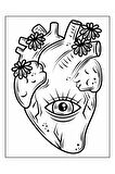 Kolaydan Zora TATTOO Boyama Kitap Seti (3 Kitap)