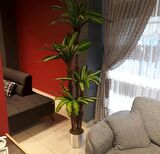 Yapay Çiçek Massengena Ağacı Yapay Ağaç Ofis Ev İçin Dekoratif Ağaç 210 cm