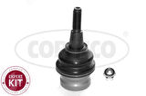Vag Salıncak Alt Rotıl A4 08>12 A4 Allroad Quattro 10>16 A5 08>11 A6 A7 11>14 Q5 09>12 - Corteco 49398755