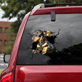 Araba Arka Cam Köpek  Sticker Yapıştırma 17cm A5