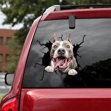 Araba Arka Cam Pitbull Sticker Yapıştırma 17cm A2