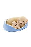 Peluş Sepette Yavrulu Labrado