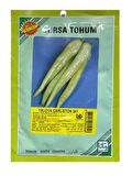 Bursa Tohum Yalova Çarliston (341) 25 gr