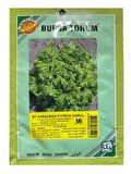 Bursa Tohum Karadeniz Kıvırcık Marul 25 Gr