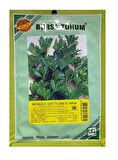Bursa Tohum Maydanoz Tohumu İri Yaprak 25gr